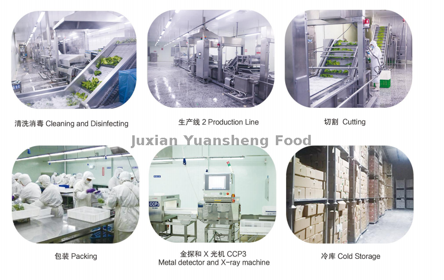 workshop 2 ワークショップ2