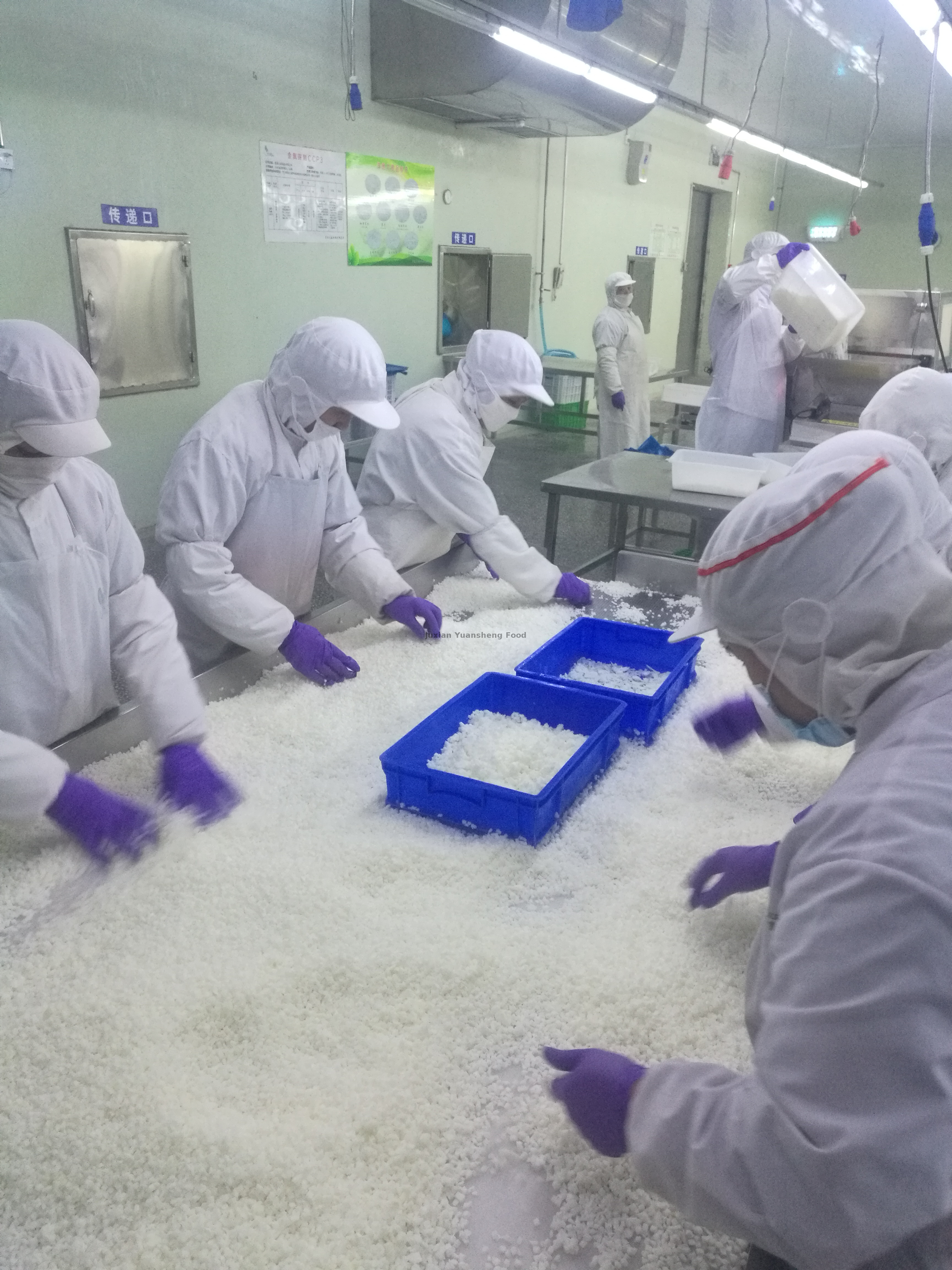 24、速冻包装间再次挑戦选