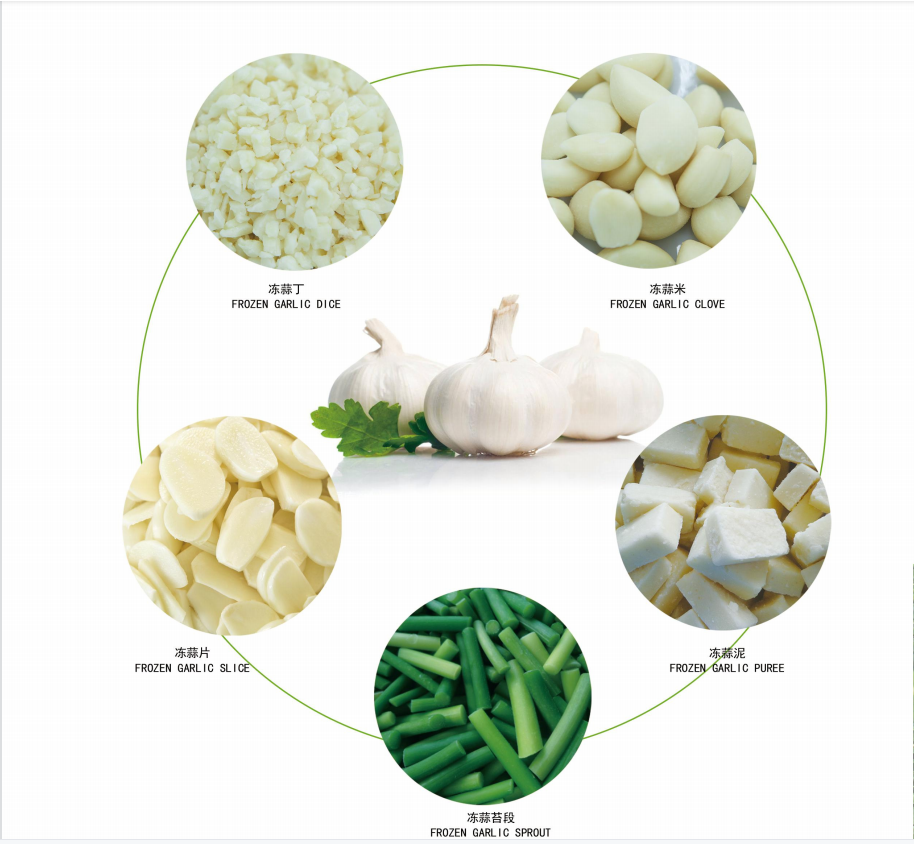 100％新鮮な冷凍ニンニクピューレペレット