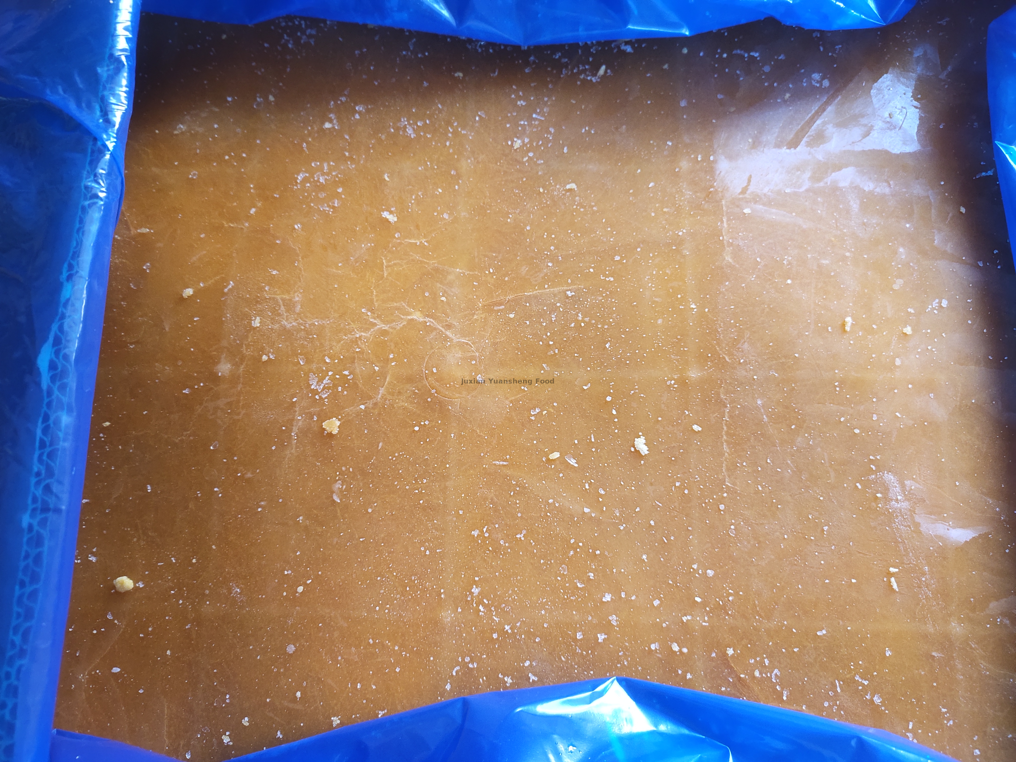 かぼちゃ2(7) - 副本