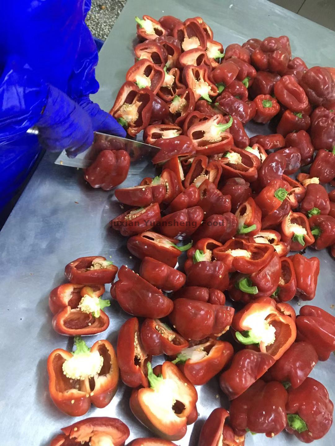 冷凍バルク赤ピーマンダイス 