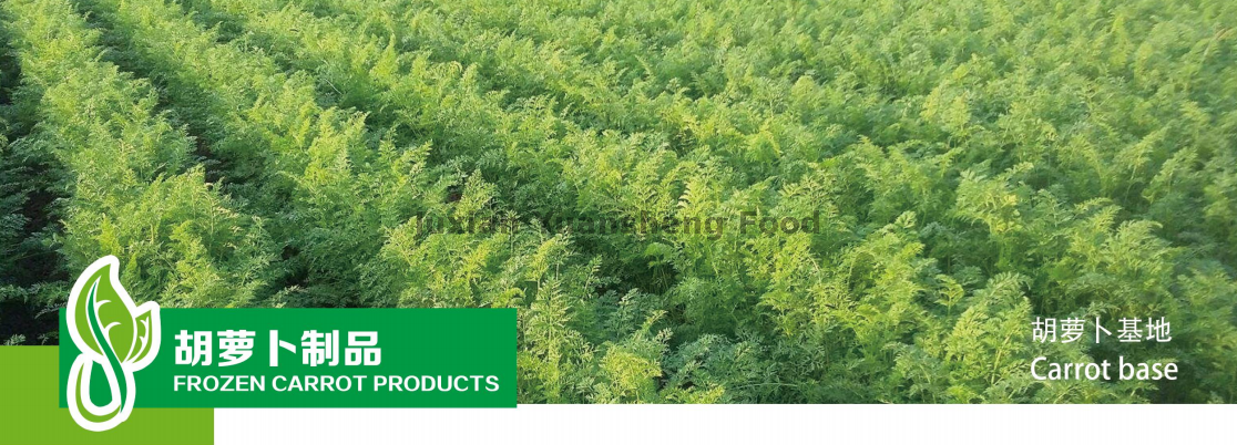 ニンジンベース