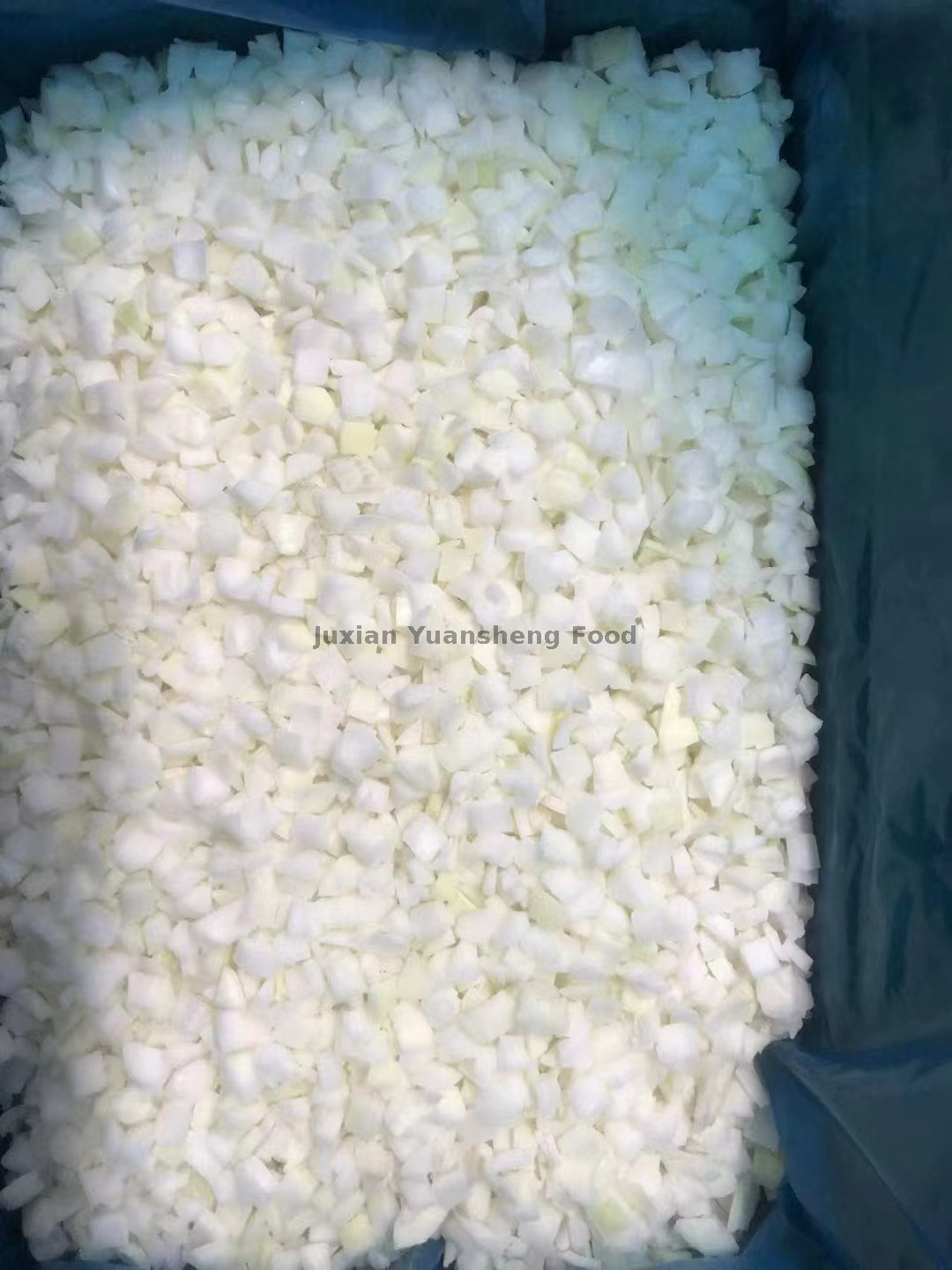 タマネギダイス (1)