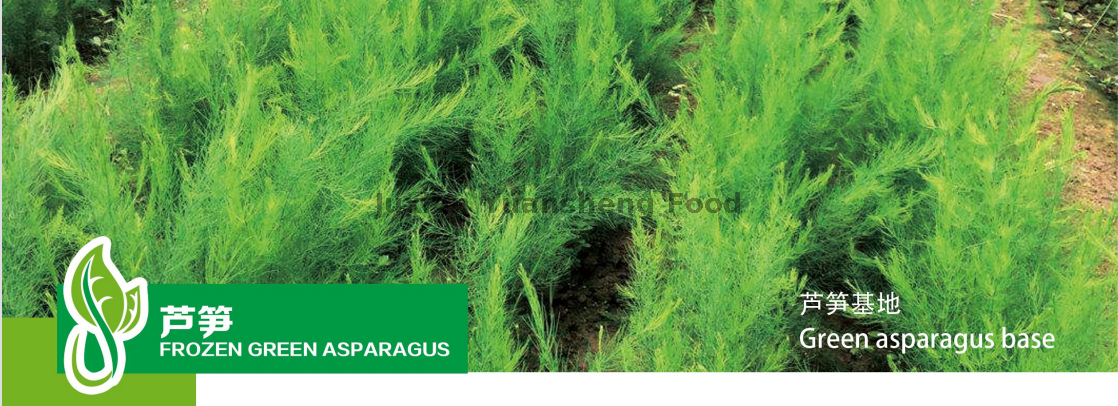 アスパラガスのベース