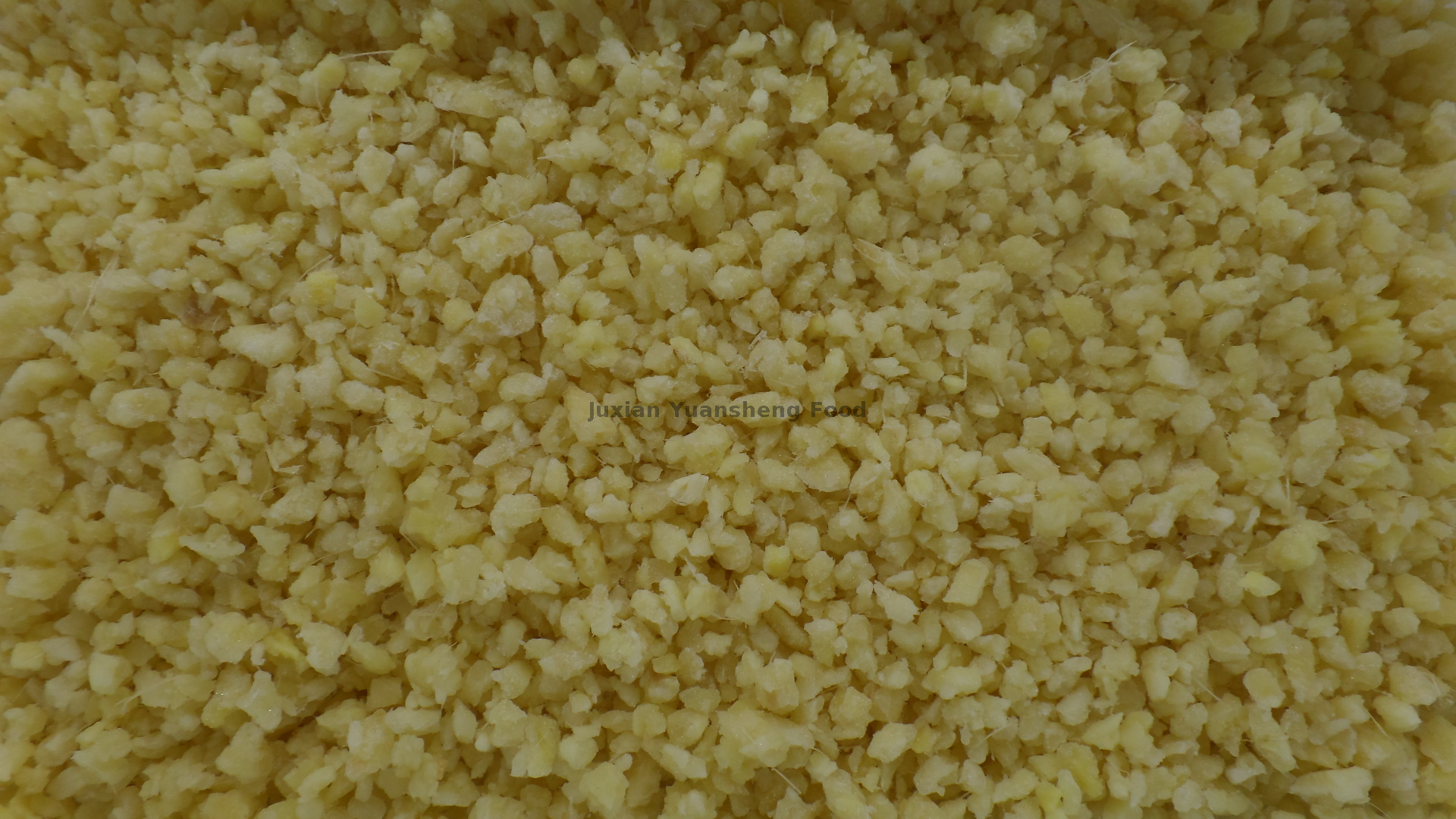 ジンジャーダイス 1