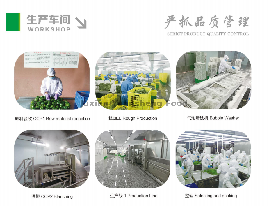 ワークショップ1